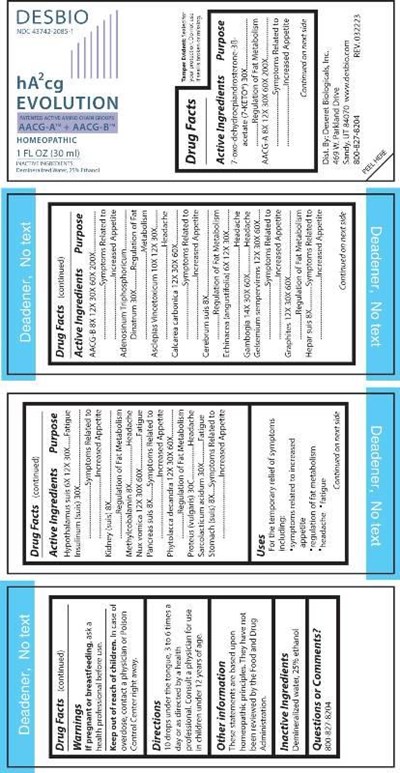 hA2cg EVOLUTION - DSRT181 hA2cg Evolution 3 31 23